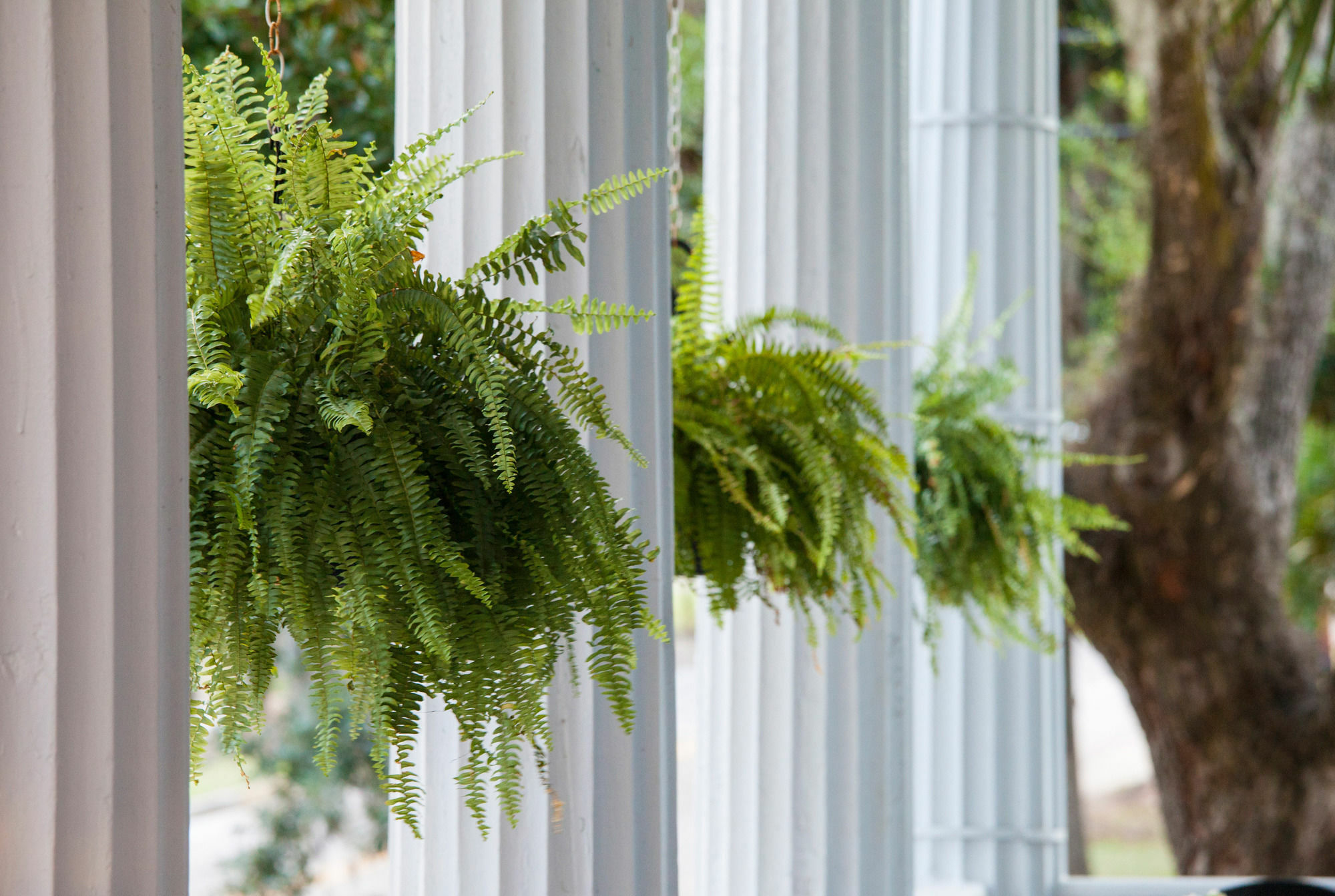Rhett House Panzió Beaufort Kültér fotó